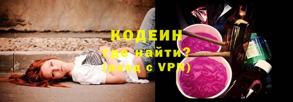 гидра Киселёвск