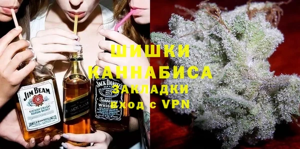 гидра Киселёвск
