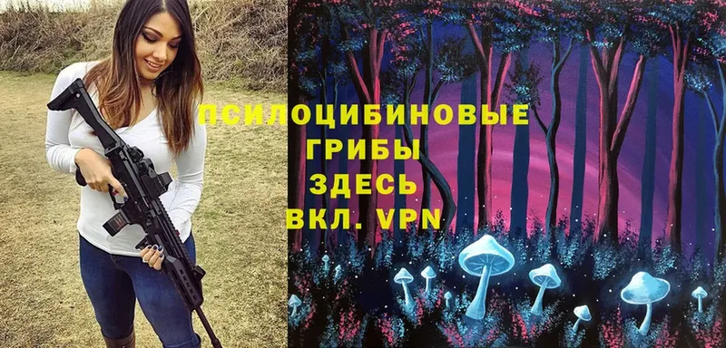 Галлюциногенные грибы Cubensis Мамоново